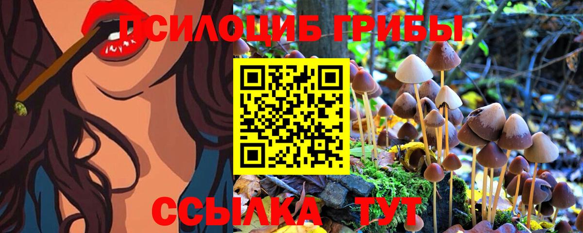 Красноуфимск  Галлюциногенные грибы MAGIC MUSHROOMS  Вход с VPN 